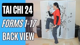 Tai Chi 24, Forms 1-17 Back View to Golden Rooster Stands on One Leg