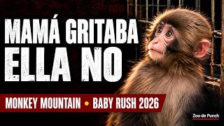 The baby trapped in the cage: The MISTAKE no one wanted to admit at first!