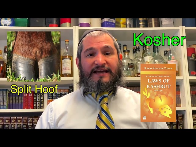 Living With The Times 5782 - Parshas Shemini
