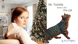 Read with Mira "Mr. Twiddle doesn't like the cat" by Enid Blyton