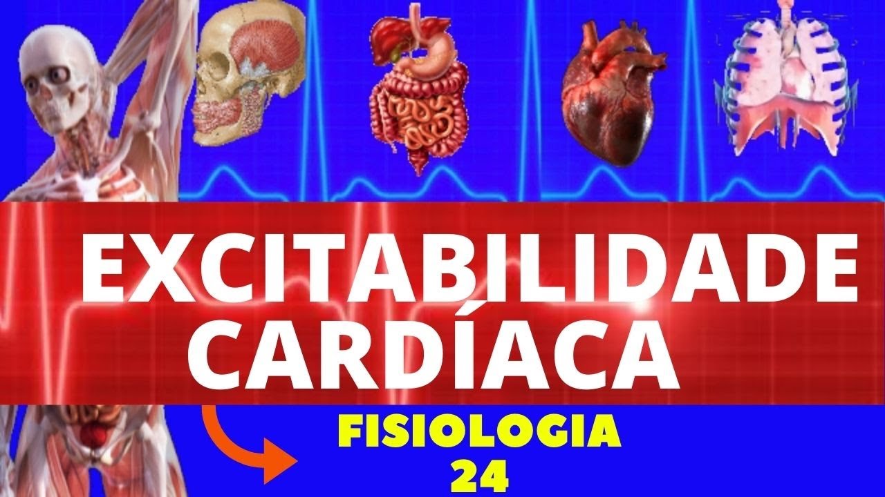 POTENCIAL DE AÇÃO CARDÍACO (EXCITABILIDADE CARDÍACA) - FISIOLOGIA CARDIOVASCULAR - FISIOLOGIA HUMANA