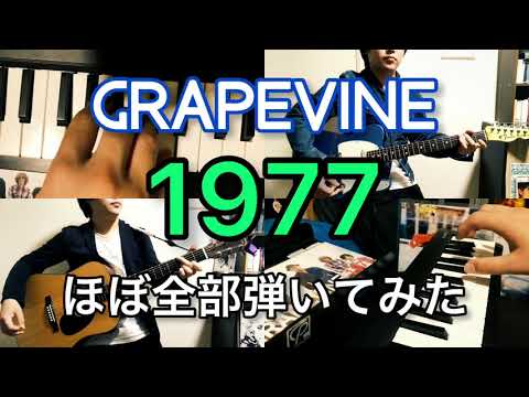 GRAPEVINE”1977”をほぼ全部弾いてみた