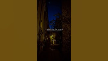 القارىء-ياسر الدوسري#تلاوة_هادئة اجر لي ولكل من يسمع..