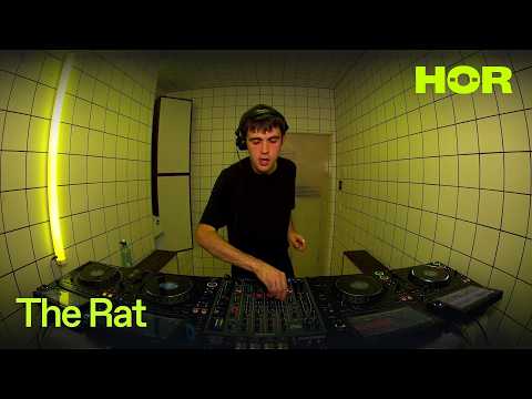 Hang the Saints - The Rat | HÖR - July 14 / 2026