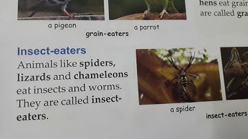 std-1st Environment chapter-13 food and homes of animal (Reading)