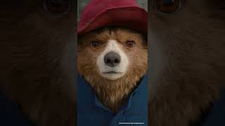 Paddington Its Called A Hard Stare