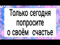 Только сегодня бросьте монетку в снег. | Тайна Жрицы |