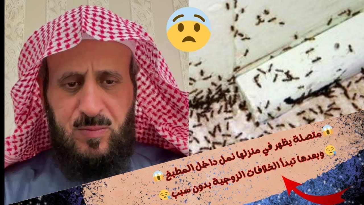 ظهور النمل في المنزل بكثره 😥