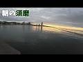 朝の須磨はアレが釣れます。