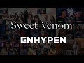 ENHYPEN -Sweet Venom- [Reaction mashup]