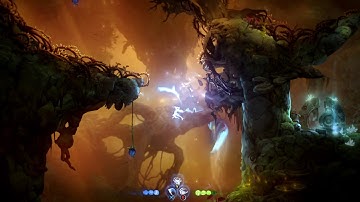 Ori and the Will of the Wisps infinite flying bug (March 2020)