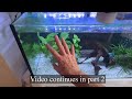 Paul Talbot helping to make great aquariums better part 1