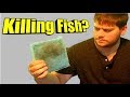 Why an Aquarium Filter Cartridge Replacement Is Killing Your Fish