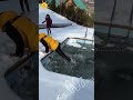 Relaxing Snowfall for Stress Relief ❄️ #snow #relax #calm #funny #ice #wintertree #logging #tree