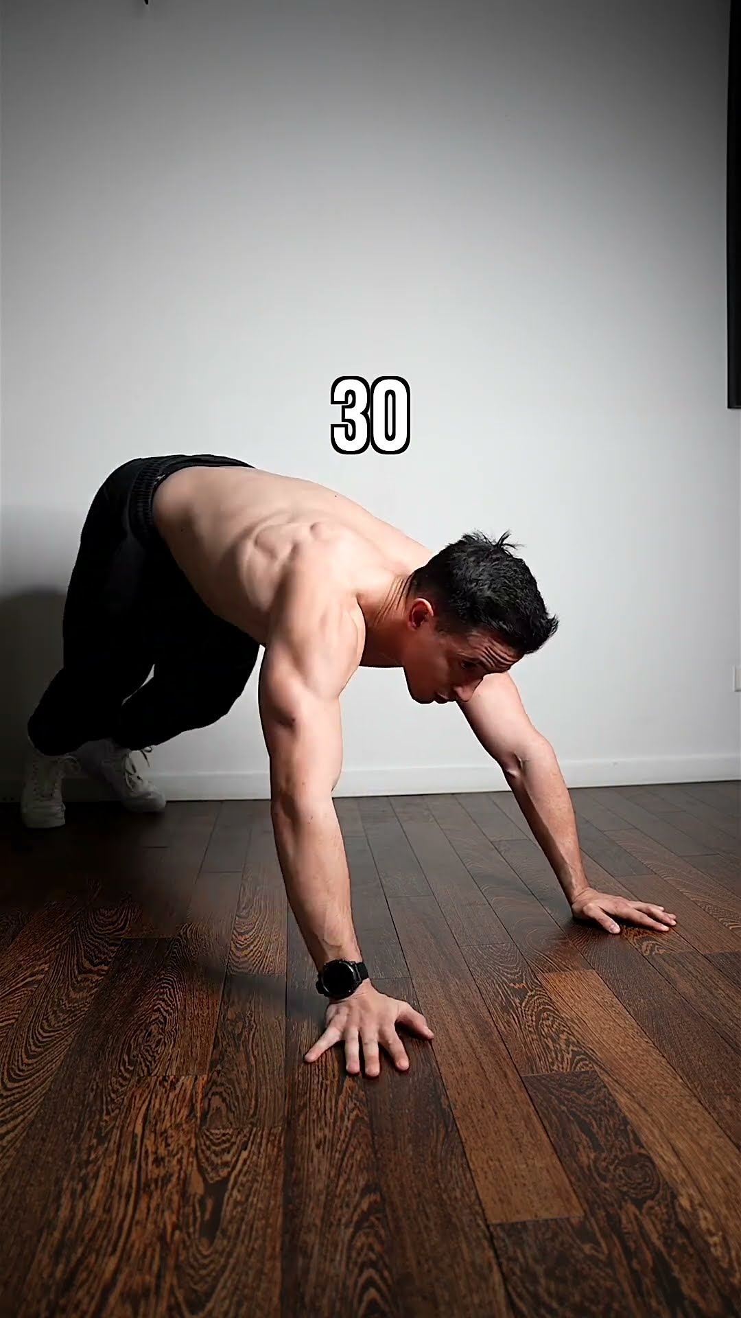 Day 67/365 one more push-up everyday during 1 year ! ?