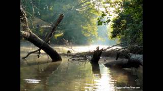 Vignette de la vidéo "The Golden Gate Quartet - "Wade In The Water" (1946)"