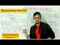 Photosynthesis A Brief Introduction 