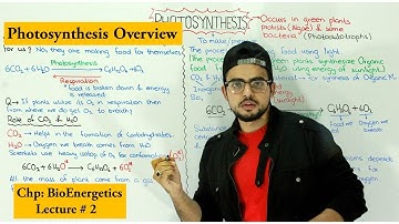 Photosynthesis | A brief introduction |