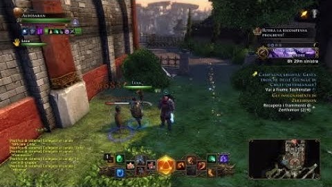 Testing damage companion for single target- Neverwinter