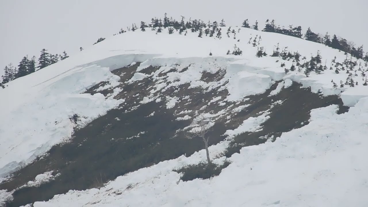 MASSIVE AVALANCHE 雪崩 AT KAGURA NAKAONE 2026-03-25 #snow