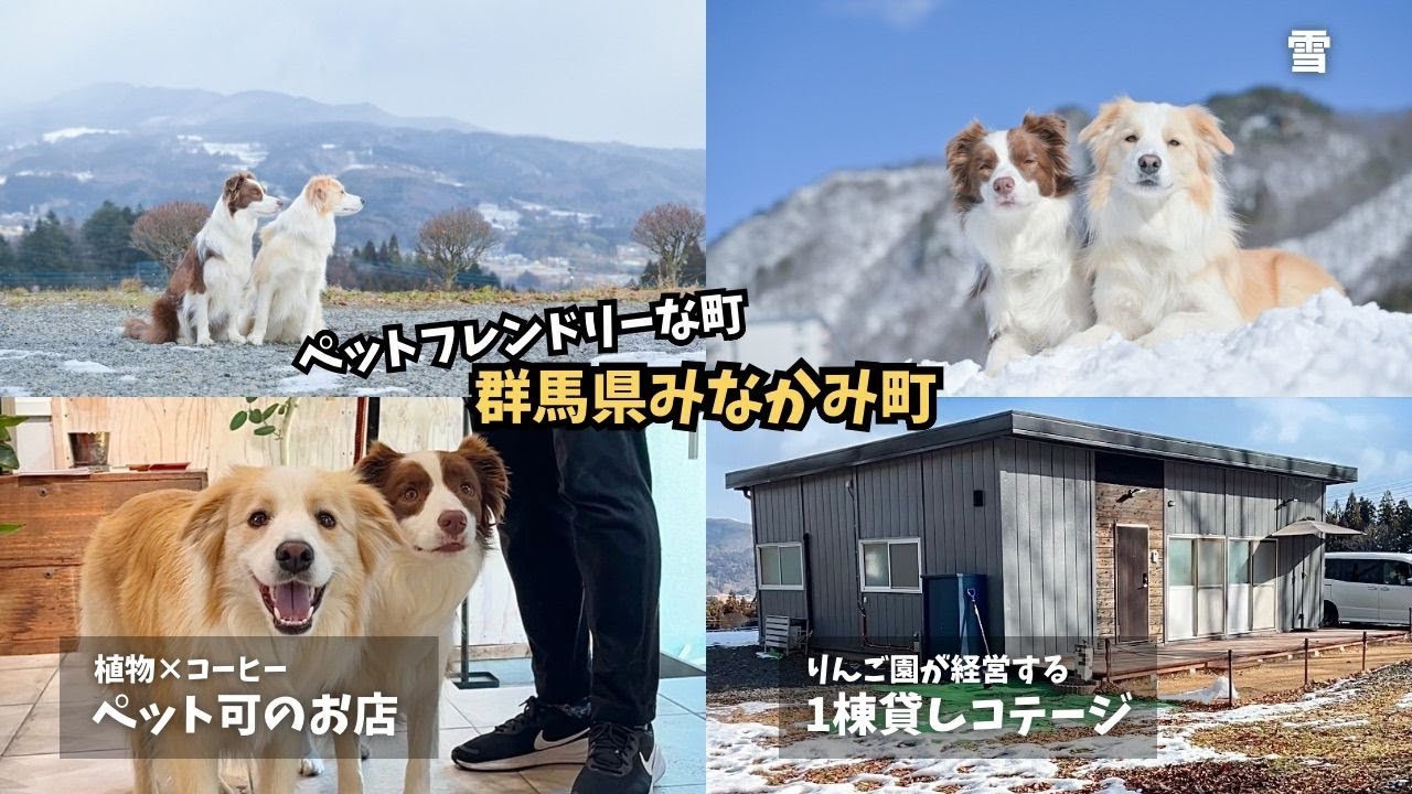【ペットフレンドリーな町】群馬県みなかみ町に行ったら最高でした！