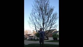 Say Something Improv