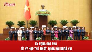 Báo Pháp Luật TP HCM