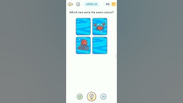 Smart Brain : Mind-Blowing Game Level 11 | Flare Games XT