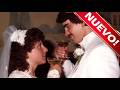 ¿Con quién demonios me casé?🕵️El verdugo🕵️ID Investigation Discovery en Latino