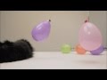 Весёлые наэлектризованные шарики/Funny electrified balls