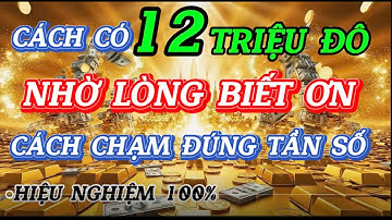 Lòng Biết Ơn Kích Hoạt Sức Mạnh Tiềm Thức – 4 Câu Chuyện Giàu Có Thật 100%| ĐỘNG LỰC TỪ JIM ROHN