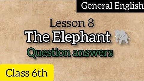 Class 6th General English - Lesson 8 - The Elephant 🐘 - Question answers 📚📖 NCERT solution