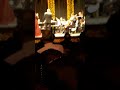وهابيات معهد الموسيقي العربيه حمال الاسيه صوت ساره زكي