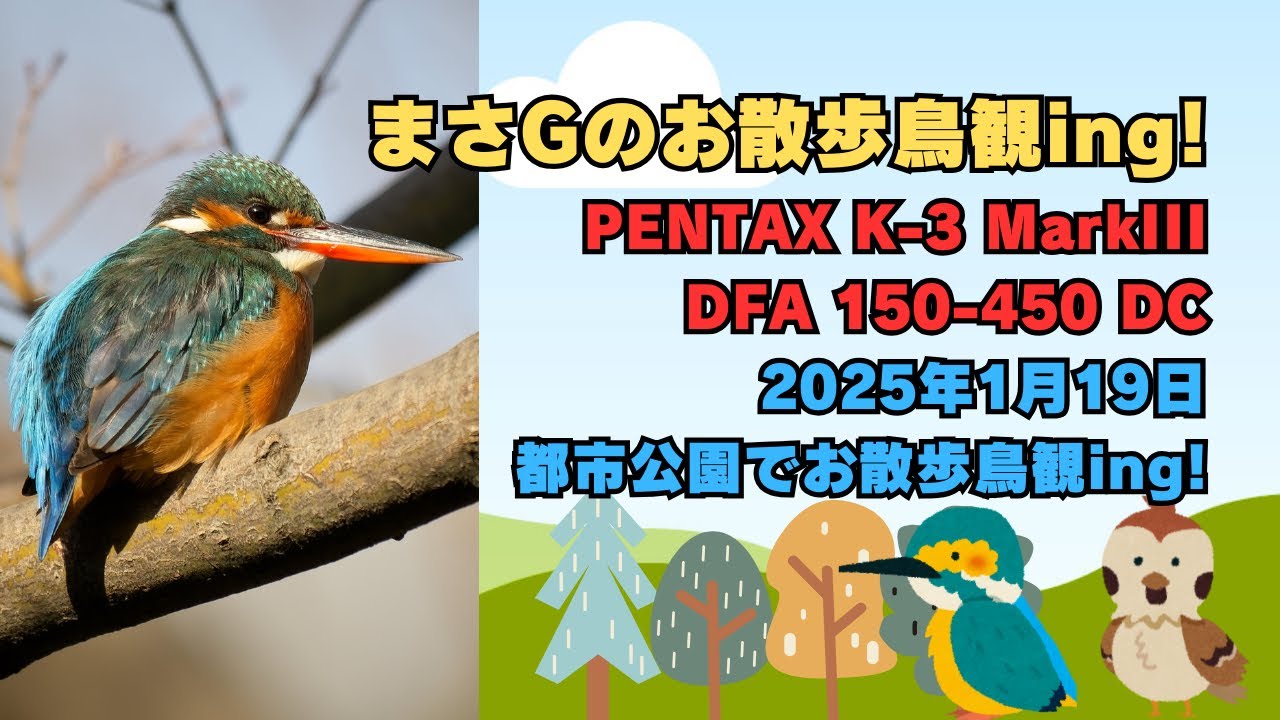 まさGのお散歩鳥観ing! PENTAX K-3MarkIIIとDFA150450でお散歩鳥観ing