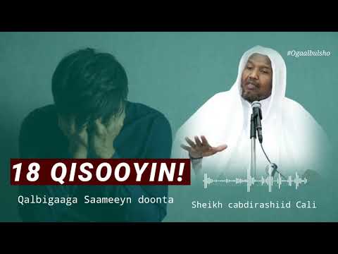 18 QISOOYIN Qalbigaaga Saameyn Doona || Sheekh Cabdirashiid Cali Suufi @OGAALBULSHO #qisooyin