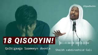 18 QISOOYIN Qalbigaaga Saameyn Doona || Sheekh Cabdirashiid Cali Suufi @OGAALBULSHO #qisooyin screenshot 1