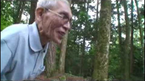 アブバとヤーバ　予告篇　Trailer of 