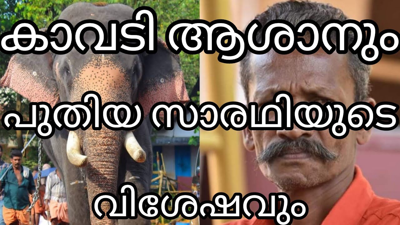 കാവടി ആശാനും പുതിയ സാരഥിയുടെ വിശേഷവുംelipande#karlaelipand#music #vinodhshukla #nadan pattukal#