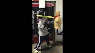 MMA, Boxing, Heavy Punching Bag & BOB slip stick arm