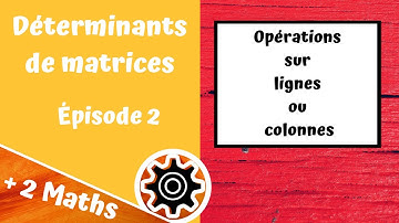 Déterminants de matrices. Ép. 2 : opérations sur lignes et colonnes