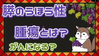 膵嚢胞性腫瘍とは？がんになる？