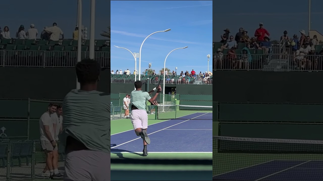 Gael Monfils Backhand Winner! 