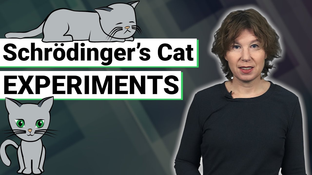 ⁣Understanding Quantum Mechanics: Schrödinger's Cat Experiments