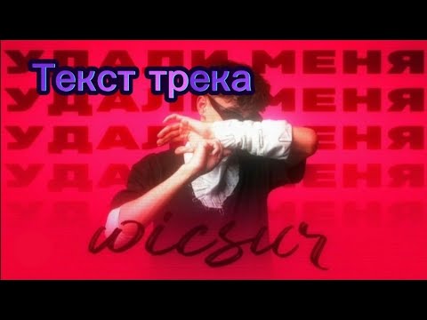 Текст нового трека бискаса "Удали меня"