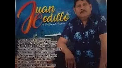 El borrachito