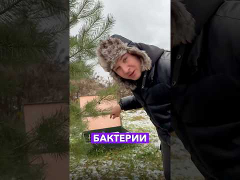 Обзор автономной канализации за 200 тыс руб ТОПАС#ремонт #стройка #загородныйдом