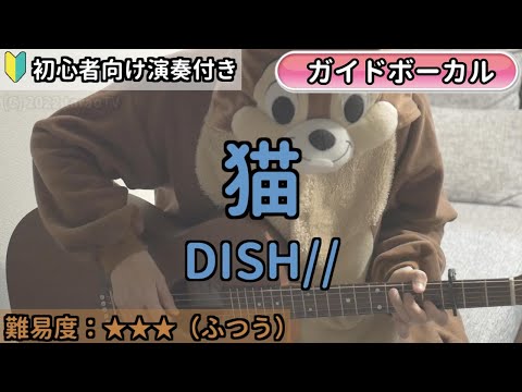 猫／DISH//／ギター弾き語り練習用動画（コード／ストローク／歌詞／歌）初心者向けの簡単な弾き方もあります！