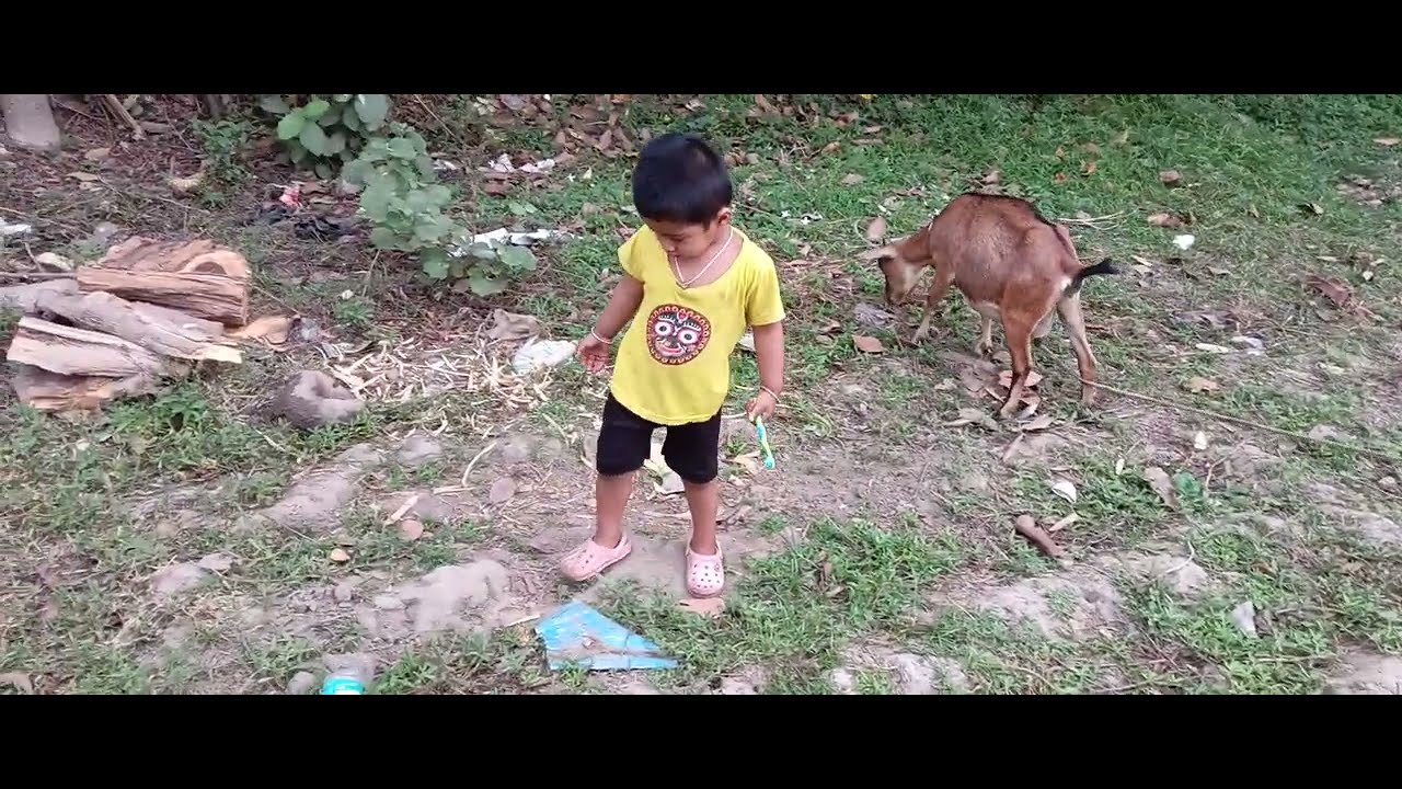 কৃষ বড় হয়ে গেছে কৃষের ছাগল বড় হয়ে গেছে