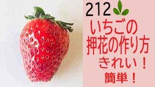 【押し花の作り方】ーいちごの押し花の作り方　失敗しないイチゴの押し花の作り方。詳しくご紹介しています。簡単綺麗ないちごの押花づくりぜひ挑戦してください！！