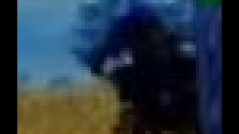 full video of hacker caught